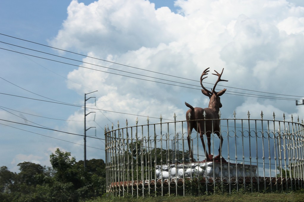 Foto de Tapachula (Chiapas), México