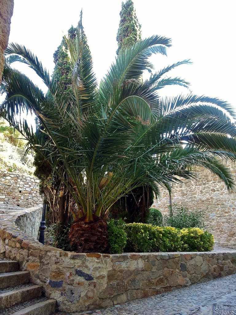 Foto: Recinto amurallado - Tossa de Mar (Girona), España