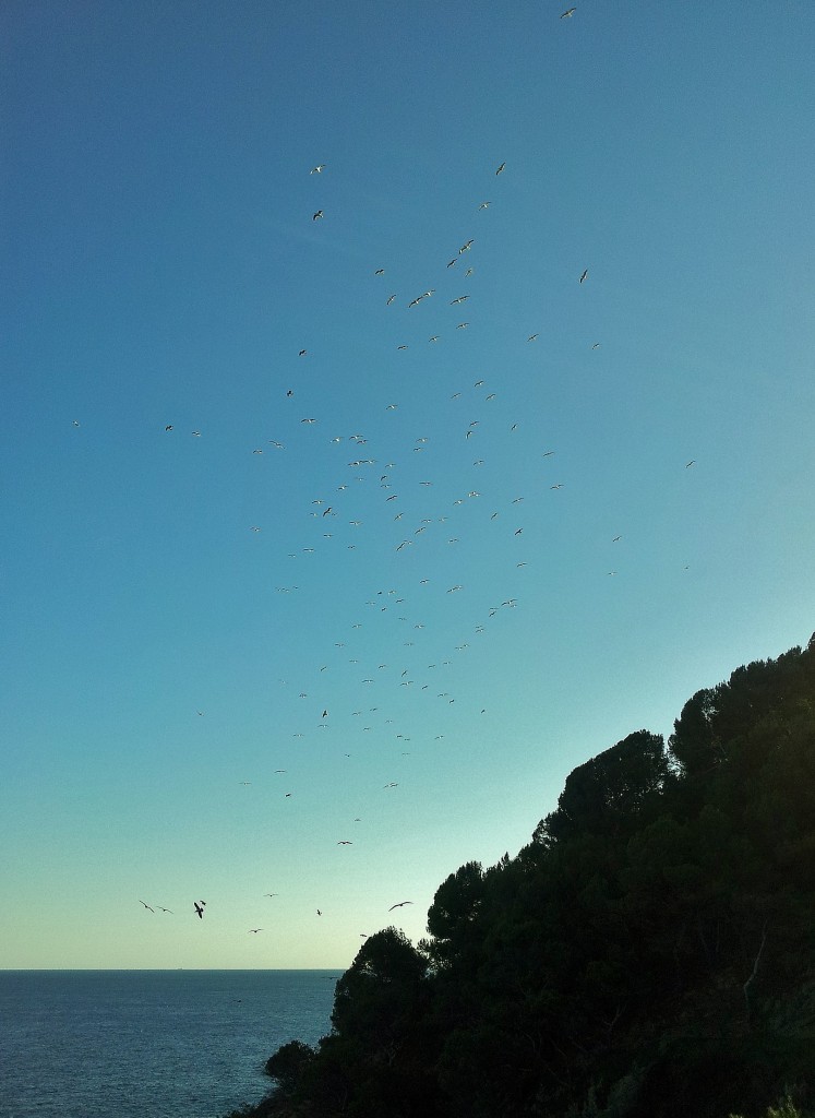 Foto: Vistas desde el recinto amurallado - Tossa de Mar (Girona), España