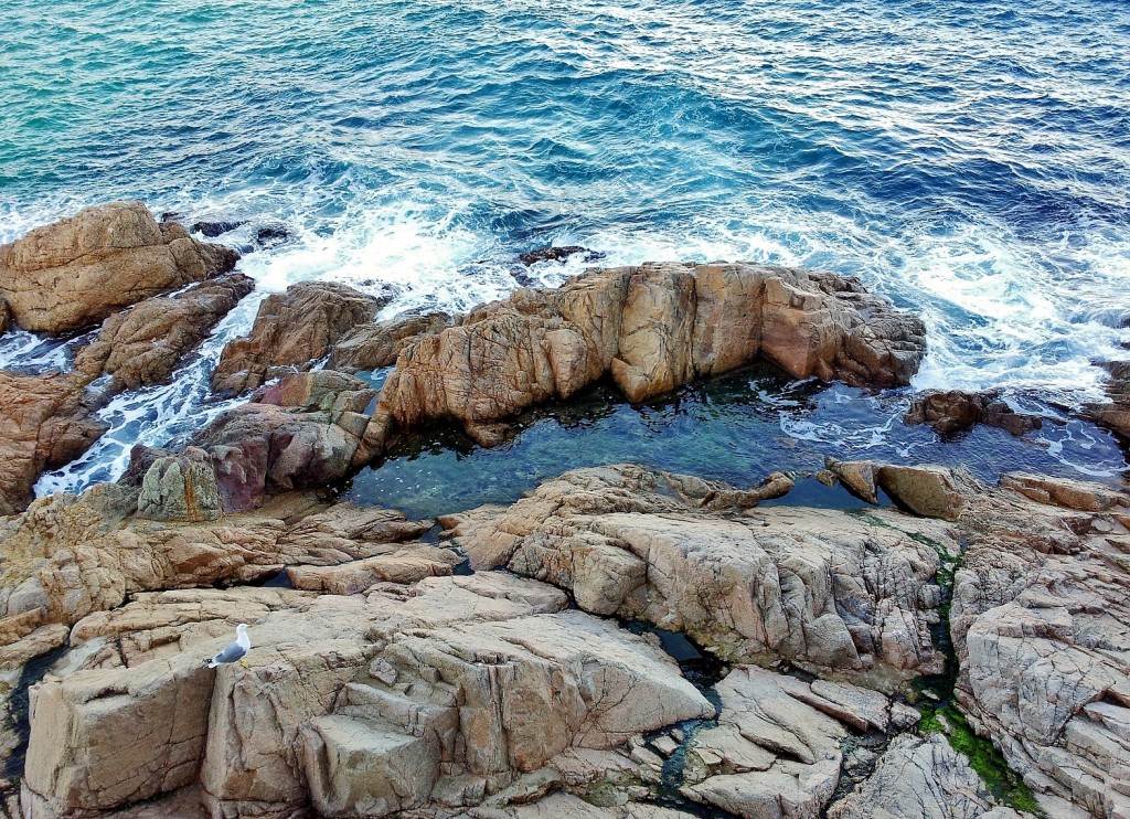 Foto: Vistas desde el recinto amurallado - Tossa de Mar (Girona), España