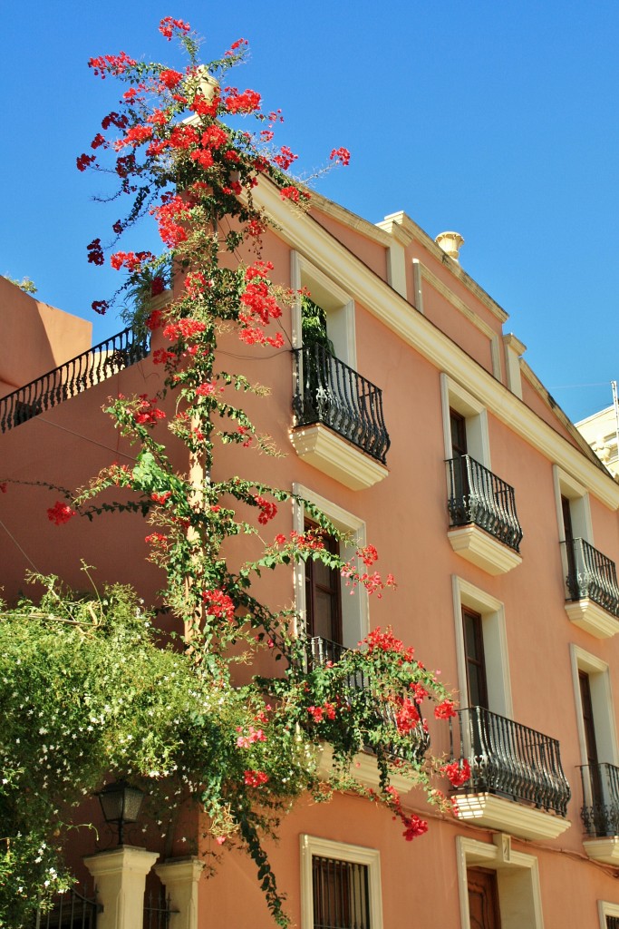 Foto: Centro histórico - Oliva (València), España