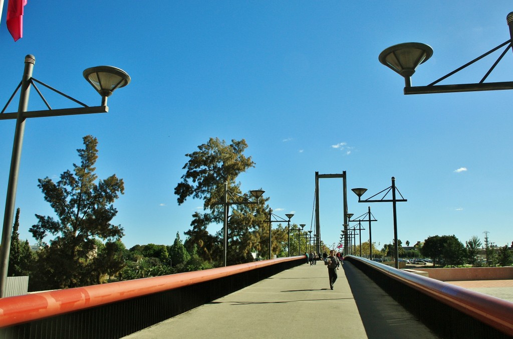 Foto: Puente sobre el rio Serpis - Gandía (València), España