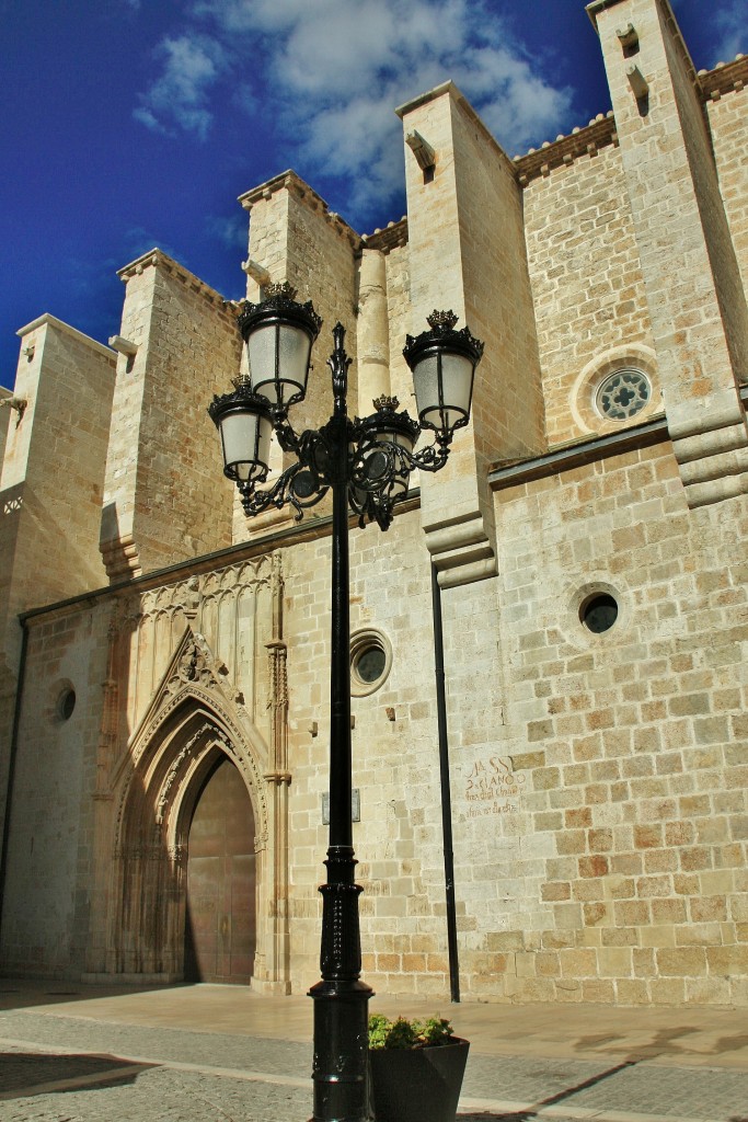 Foto: Colegiata de Santa María - Gandía (València), España