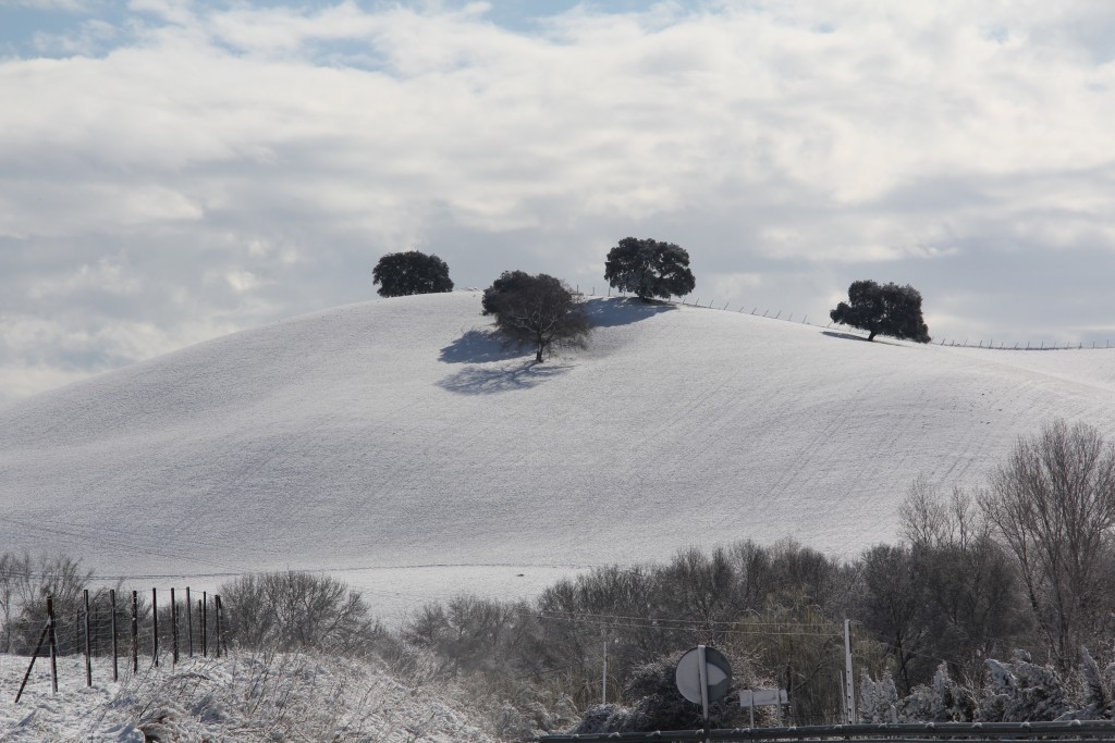 Foto de Montejaque (Málaga), España