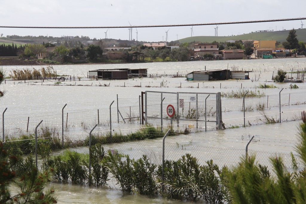 Foto de Jerez de la Frontera (Cádiz), España