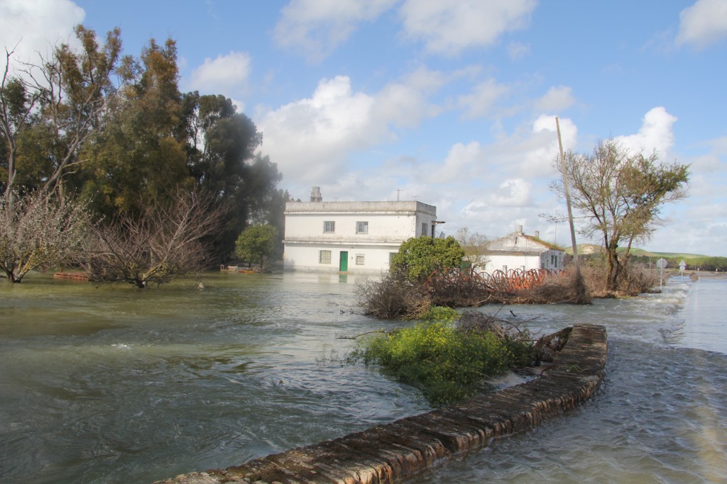 Foto de Jerez de la Frontera (Cádiz), España