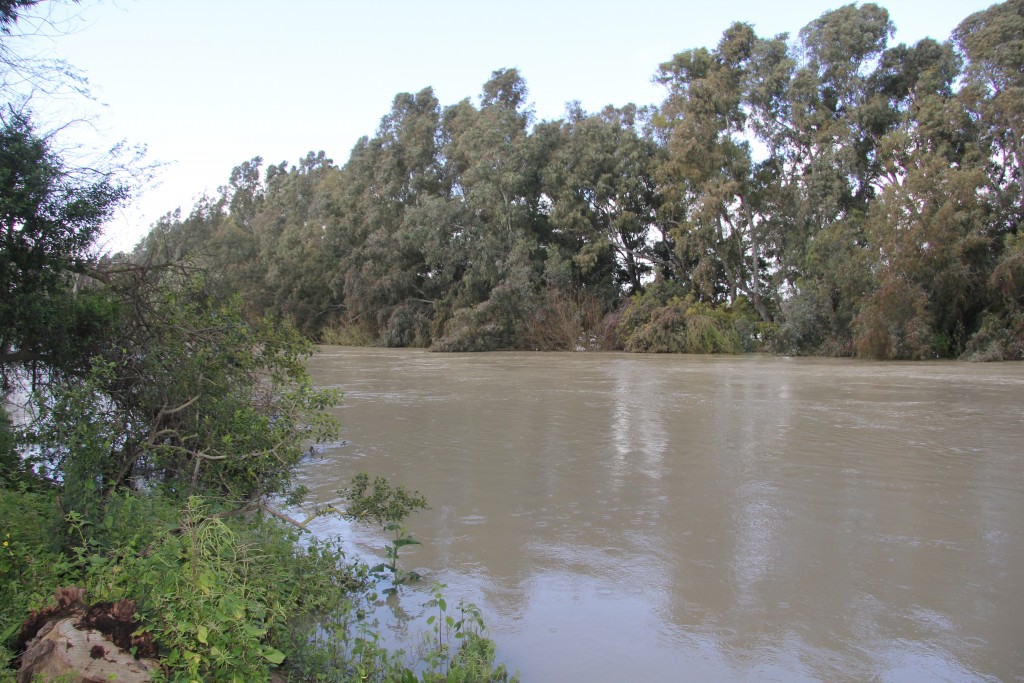 Foto de Jerez de la Frontera (Cádiz), España