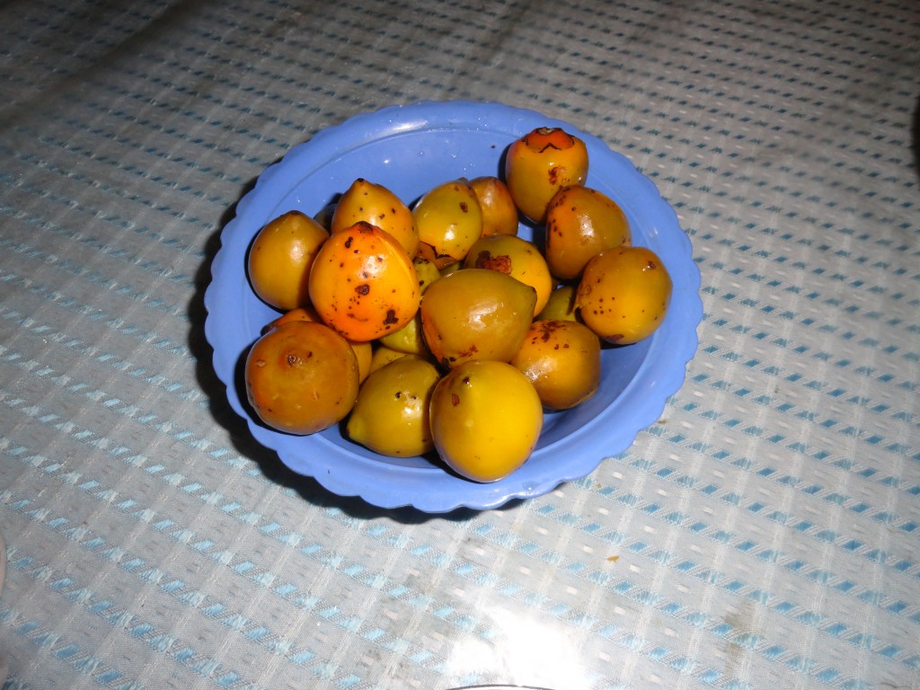Foto: Chonta duro  cocido - Shell (Pastaza), Ecuador