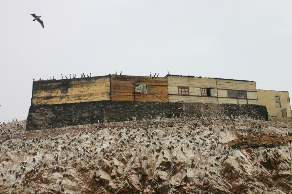 Foto de Islas Paracas (Ica), Perú