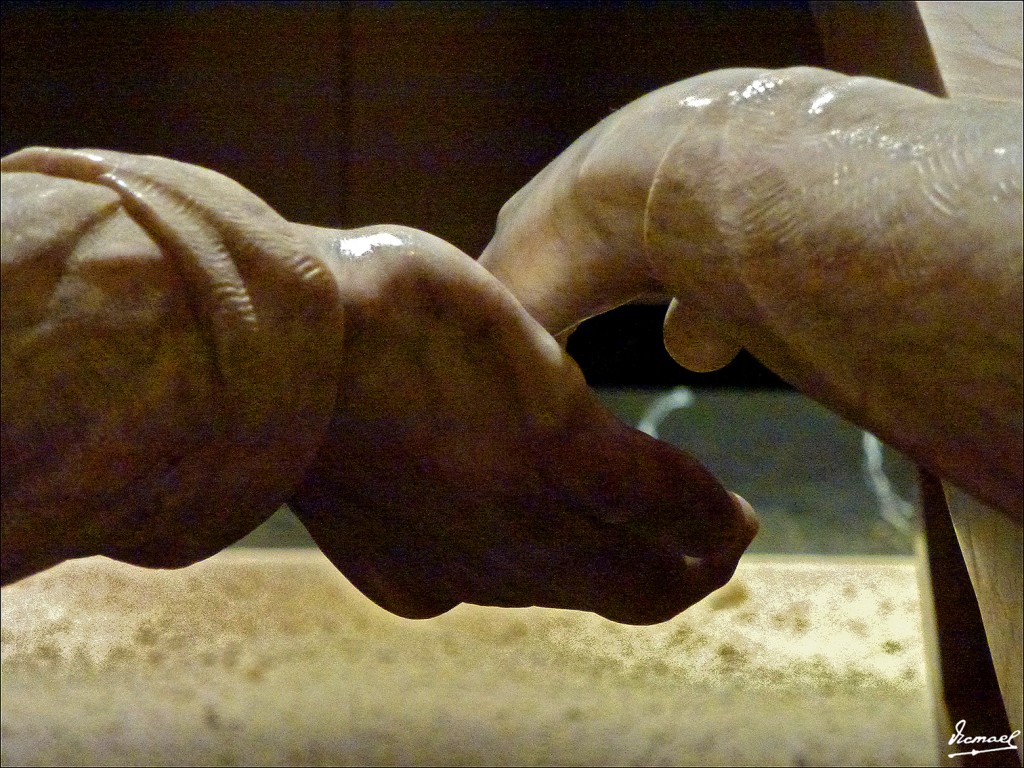 Foto: 130312-212 TERUEL - Teruel (Aragón), España