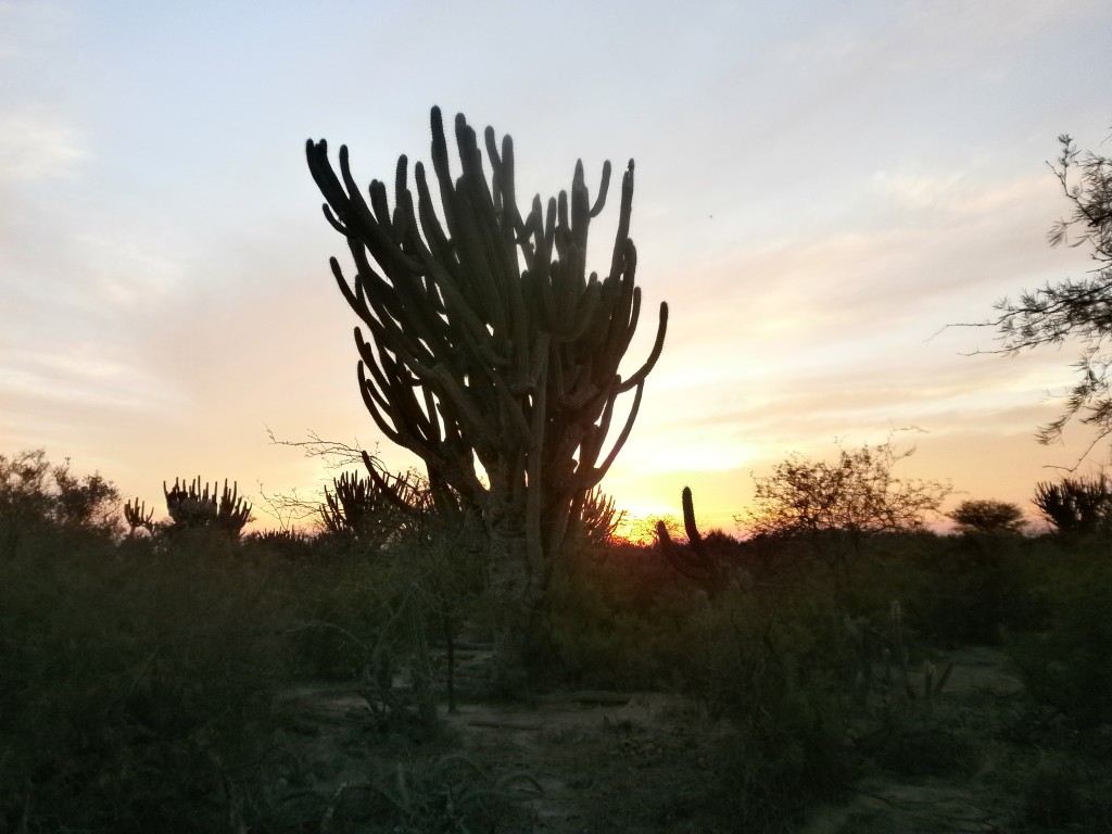 Foto de La Noria (Santiago del Estero), Argentina