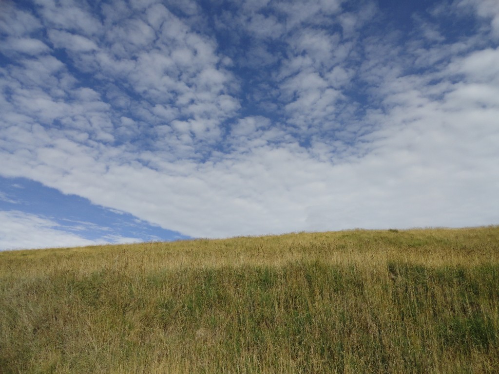 Foto: Chimborazo - Chimborazo, Ecuador