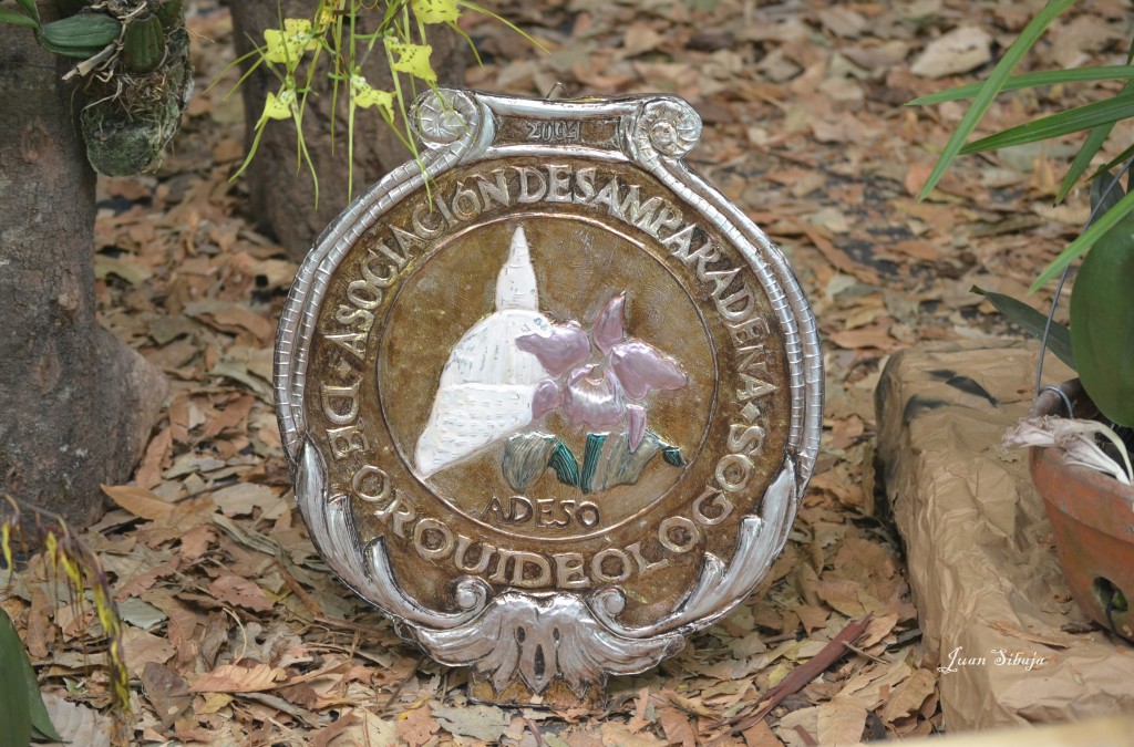 Foto: Exposición de Orquideas, - San José, Costa Rica