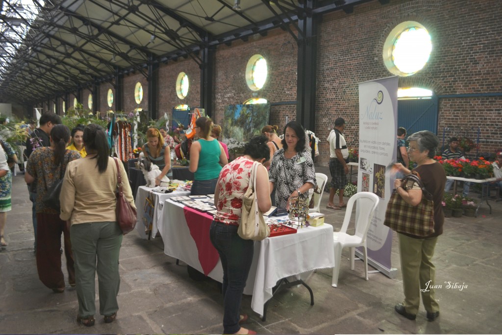 Foto: 42 Exposición de Orquideas - San José, Costa Rica