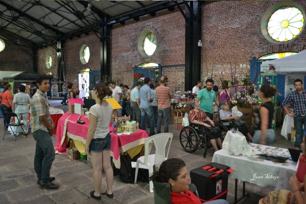 Foto: 42 Exposición de Orquideas - San José, Costa Rica