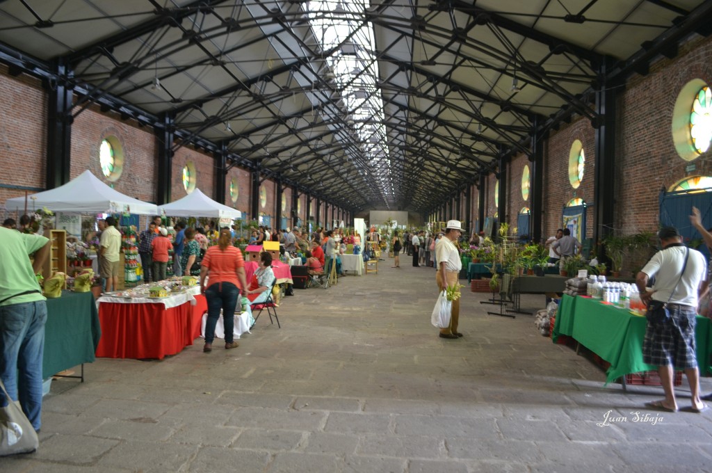 Foto: 42 Exposición de Orquideas - San José, Costa Rica