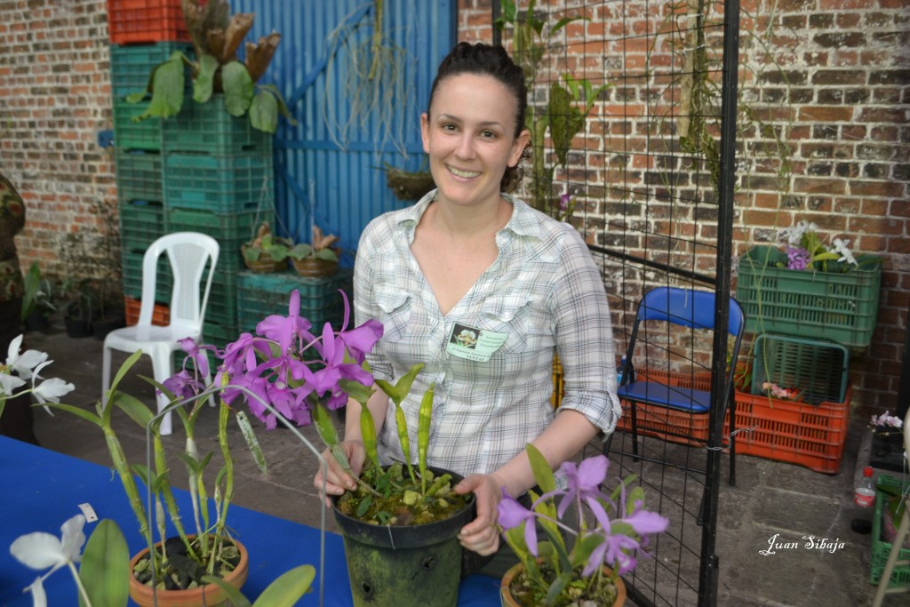 Foto: Exposición de Orquideas, - San José, Costa Rica