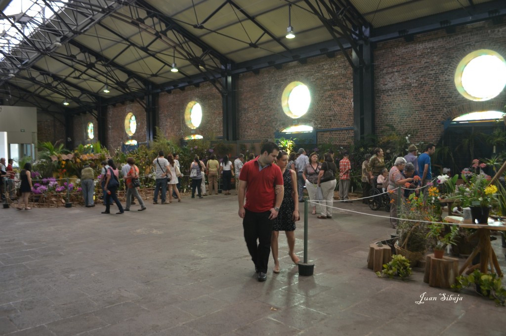 Foto: Exposición de Orquideas, - San José, Costa Rica