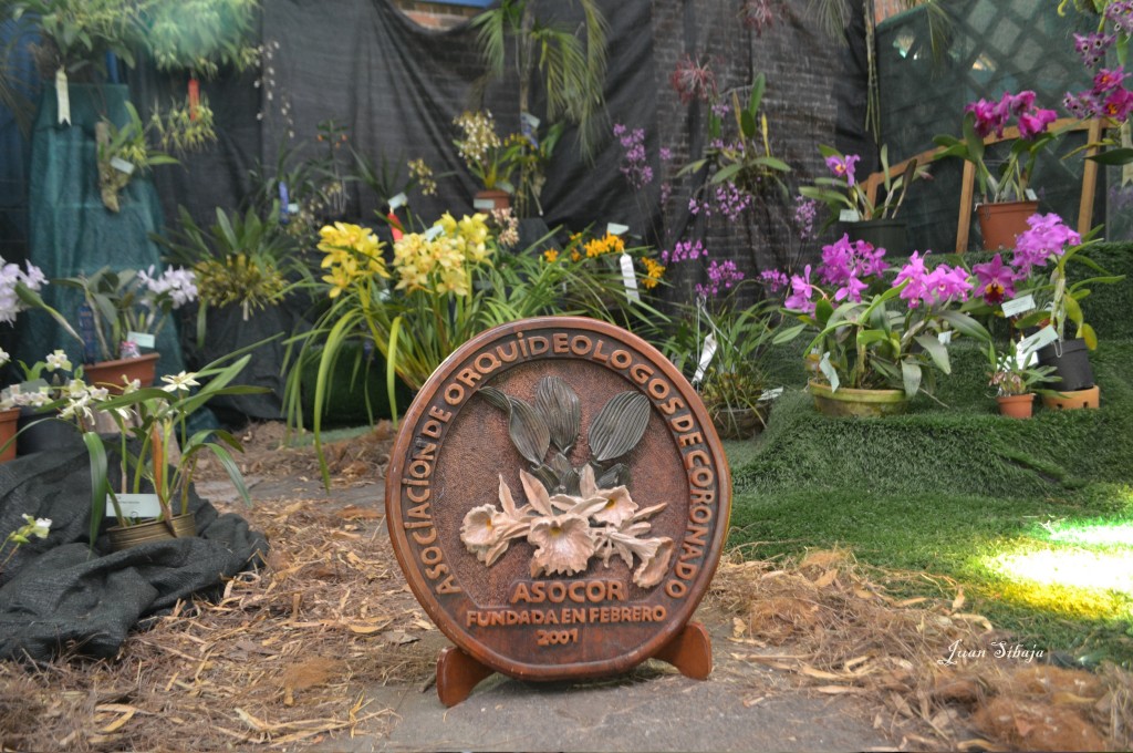 Foto: Exposición de Orquideas - San José, Costa Rica