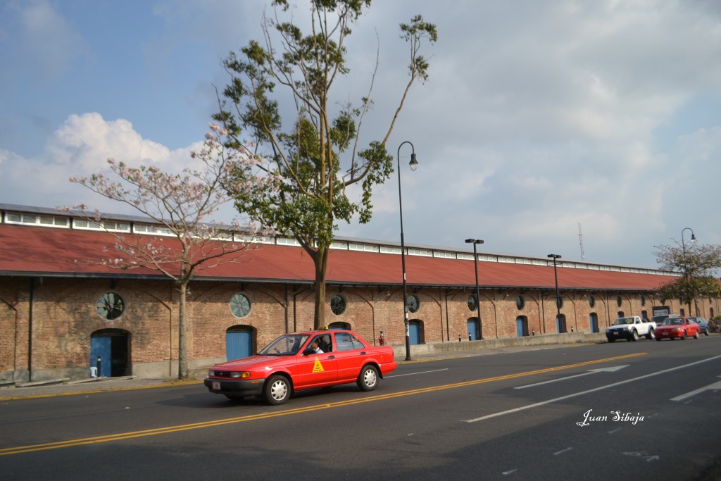 Foto: Exposición de Orquideas - San José, Costa Rica