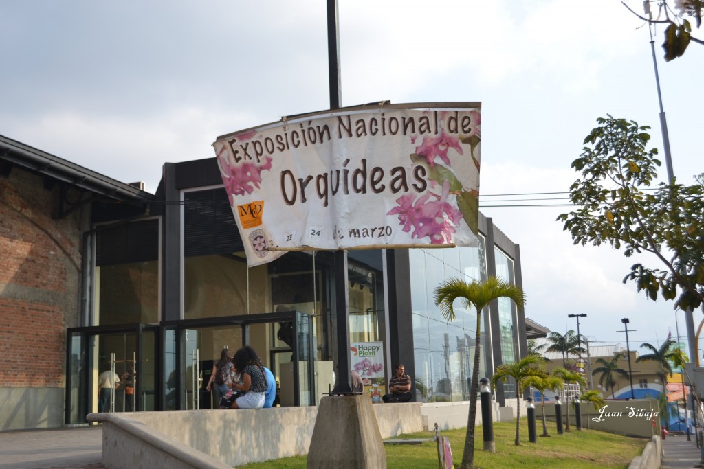 Foto: Exposición de Orquideas - San José, Costa Rica
