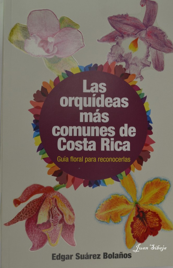 Foto: Exposición de Orquideas - San Jose (San José), Costa Rica