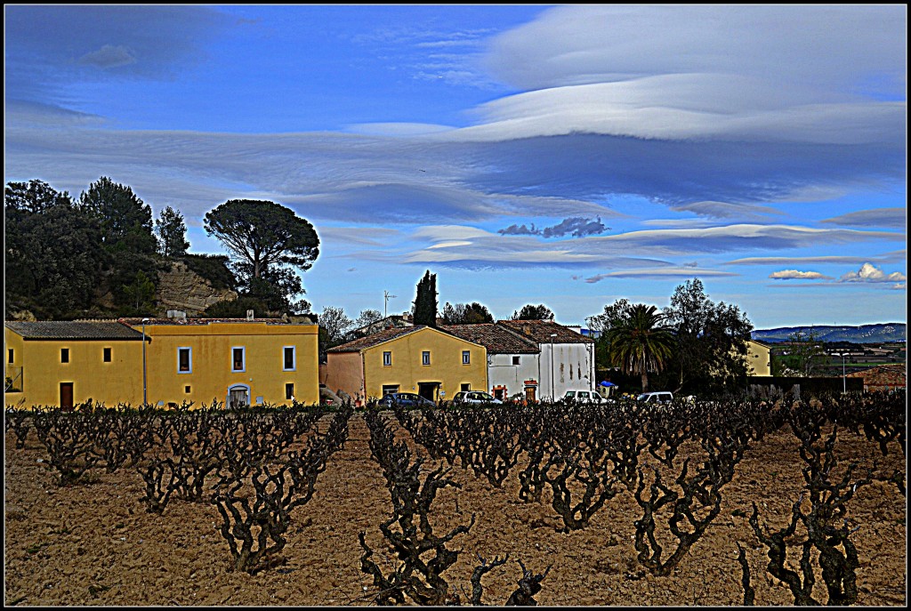Foto: Paisaje del Penedes - Viloví del Penedes (Barcelona), España