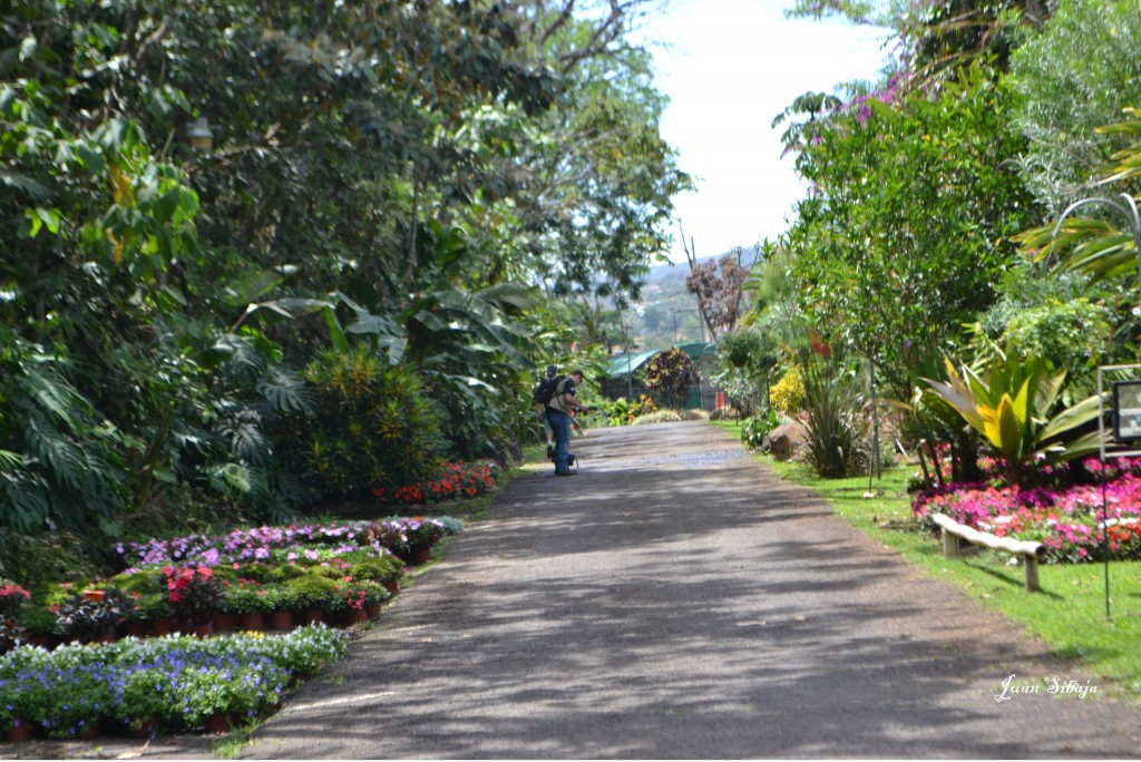 Foto: MIS MACRO - Alajuela, Costa Rica
