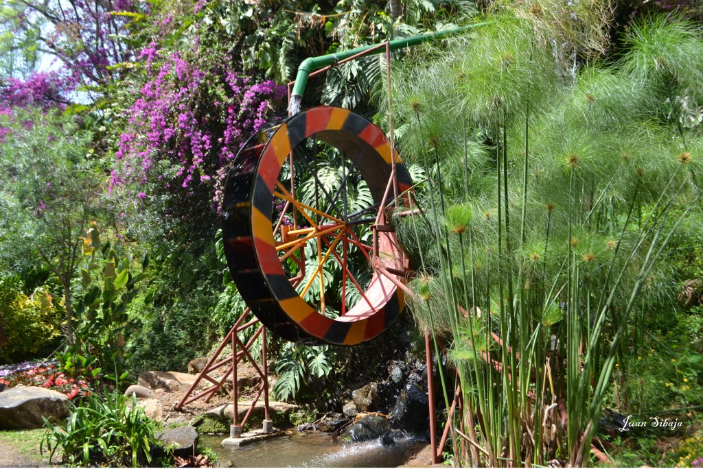 Foto: MIS MACRO - Alajuela, Costa Rica