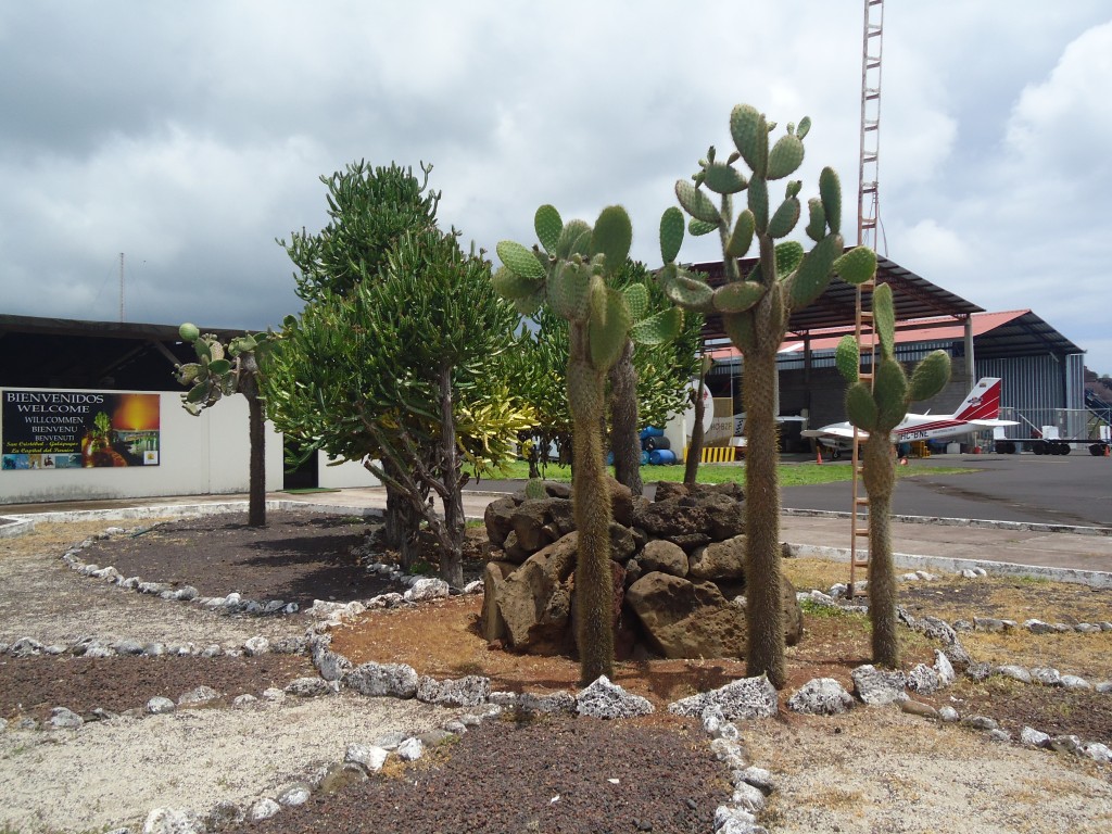 Foto: Galapagos - San Cristobal (Galápagos), Ecuador