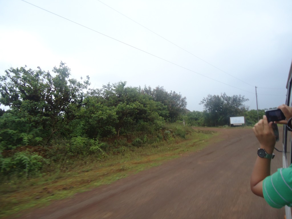 Foto: camino - San Cristobal (Galápagos), Ecuador