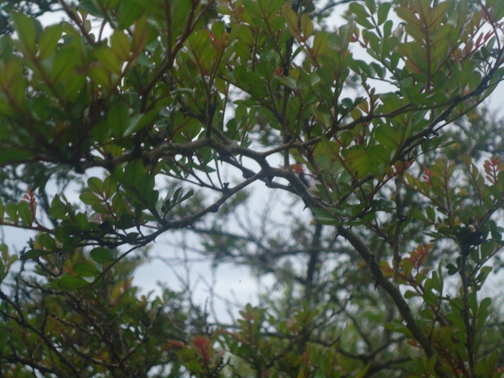 Foto: Cielo - San Cristobal (Galápagos), Ecuador