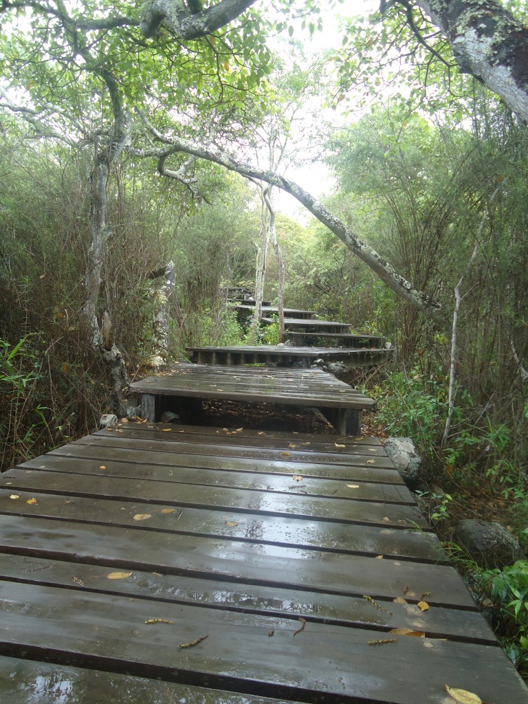 Foto: Cendero - San Cristobal (Galápagos), Ecuador
