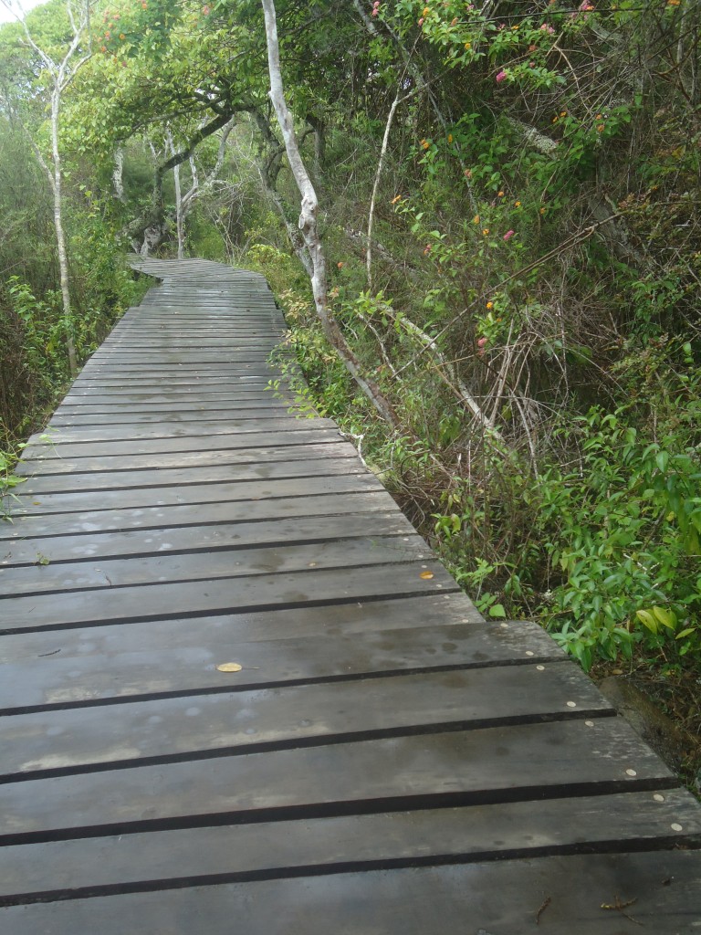 Foto: cendero - San Cristobal (Galápagos), Ecuador