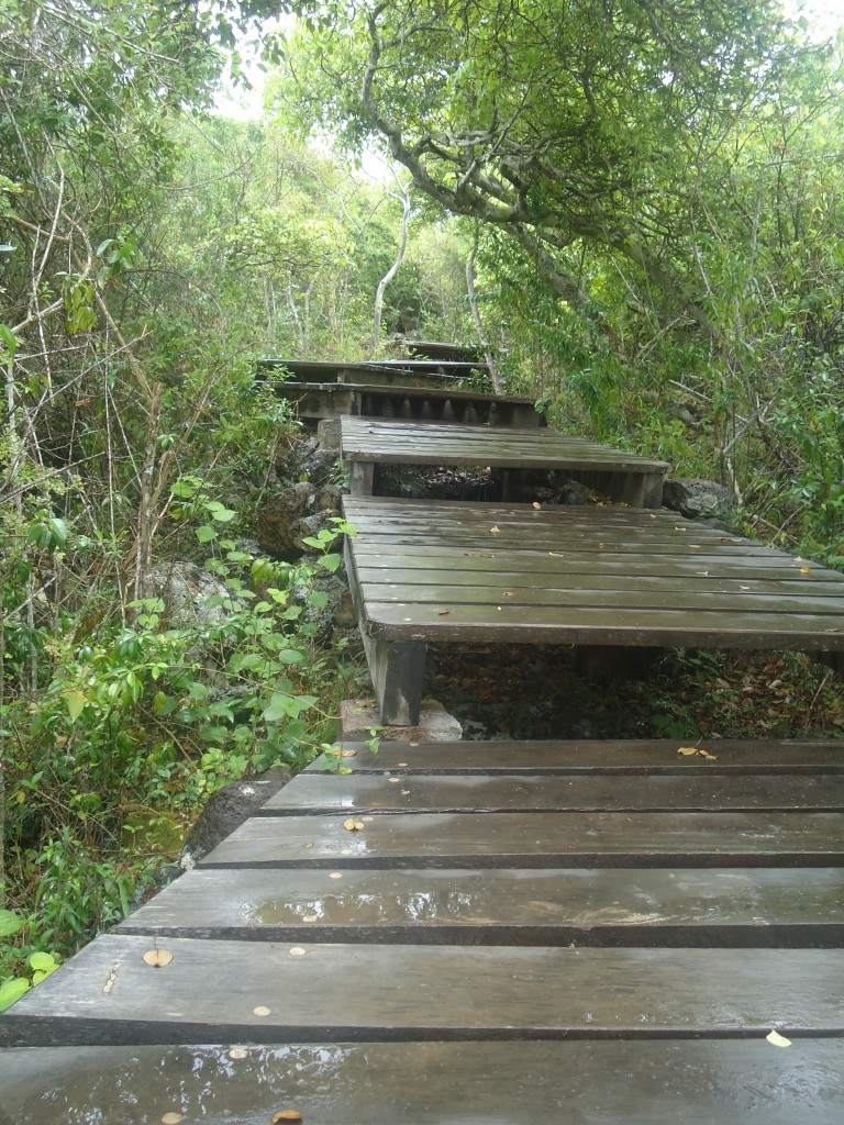 Foto: cendero - San Cristobal (Galápagos), Ecuador