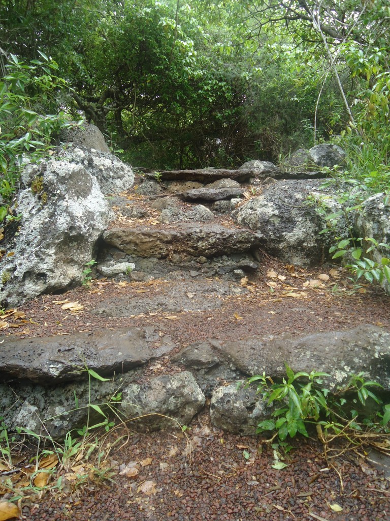 Foto: cendero - San Cristobal (Galápagos), Ecuador