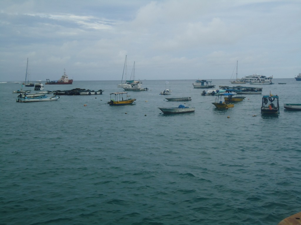 Foto: Playa - San Cristobal (Galápagos), Ecuador