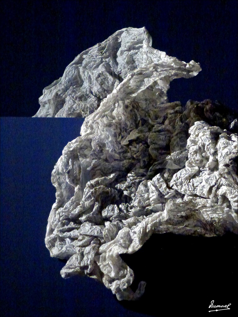 Foto: 130324-12 PAPIROFLEXIA C H Z - Zaragoza (Aragón), España