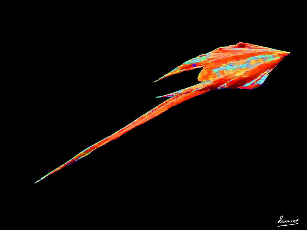 Foto: 130324-13 PAPIROFLEXIA C H Z - Zaragoza (Aragón), España