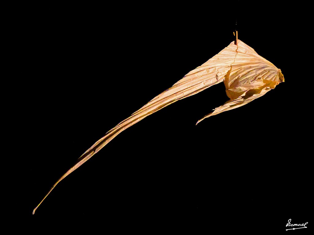 Foto: 130324-14 PAPIROFLEXIA C H Z - Zaragoza (Aragón), España