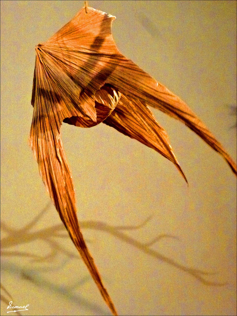 Foto: 130324-25 PAPIROFLEXIA C H Z - Zaragoza (Aragón), España