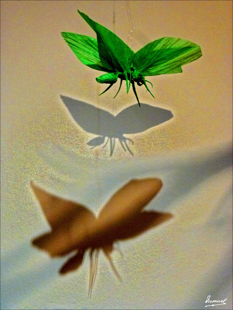 Foto: 130324-27 PAPIROFLEXIA C H Z - Zaragoza (Aragón), España