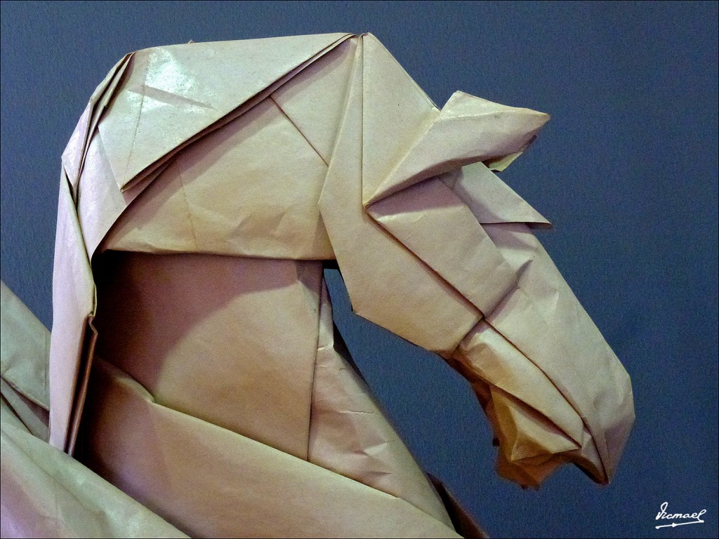 Foto: 130324-44 PAPIROFLEXIA C H Z - Zaragoza (Aragón), España