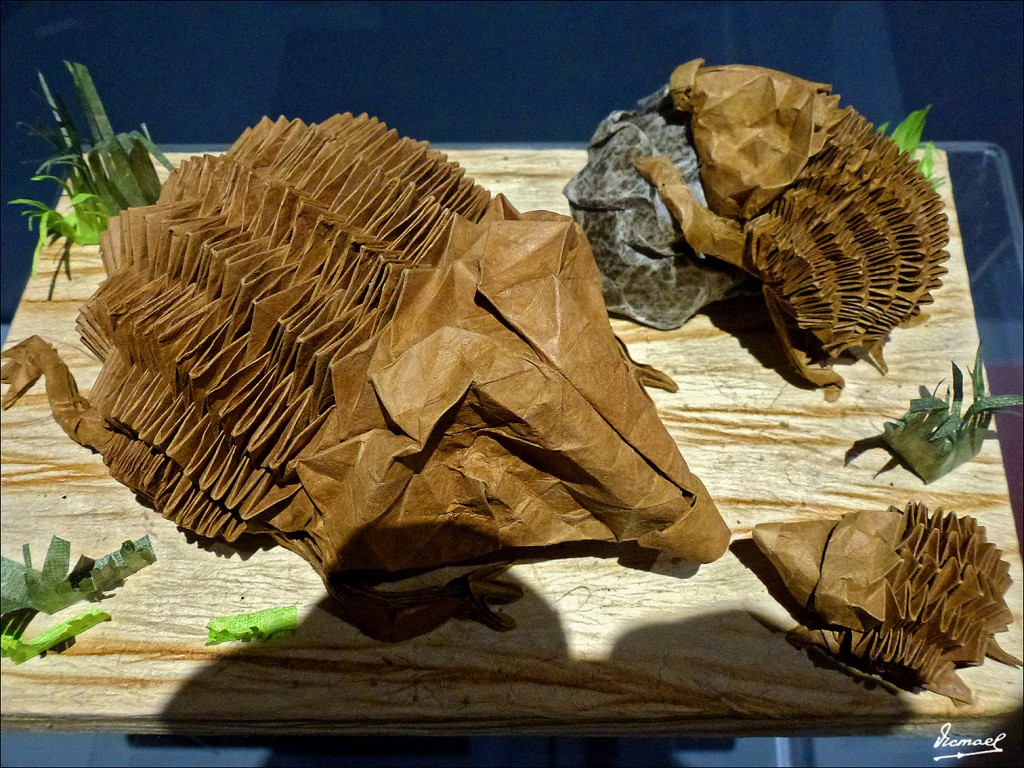 Foto: 130324-68 PAPIROFLEXIA C H Z - Zaragoza (Aragón), España