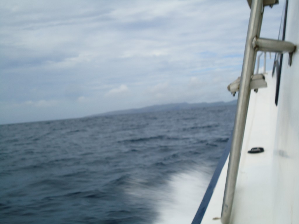 Foto: En el mar - Galápagos San Cristobal (Galápagos), Ecuador