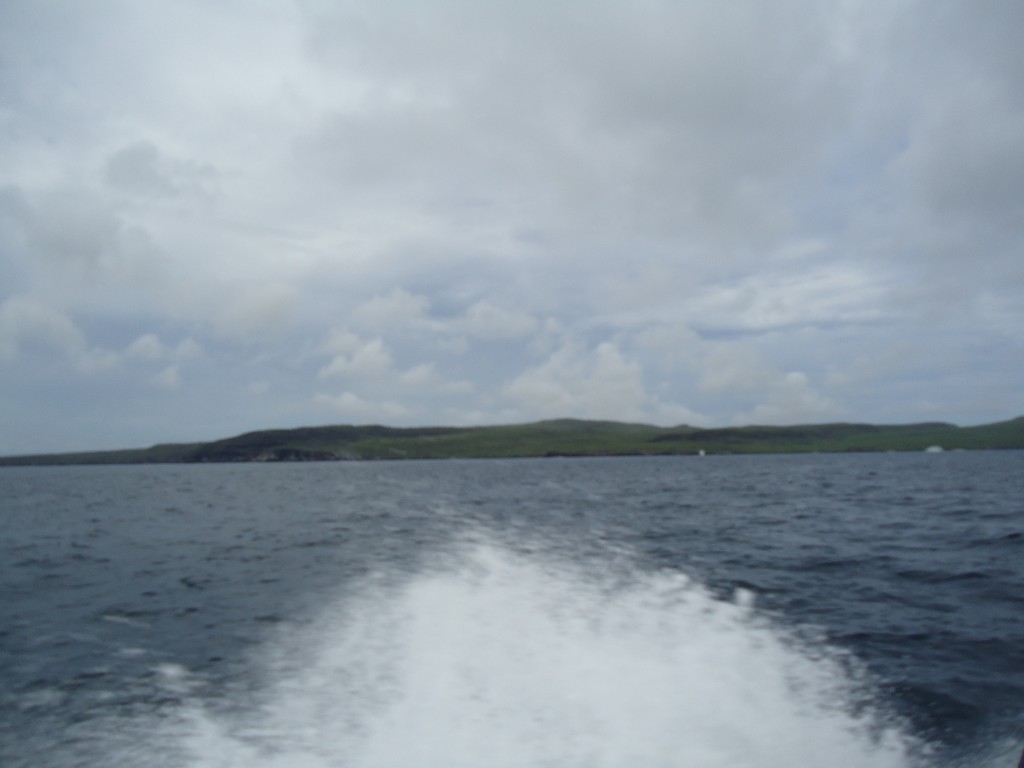 Foto: En el mar - Galápagos San Cristobal (Galápagos), Ecuador