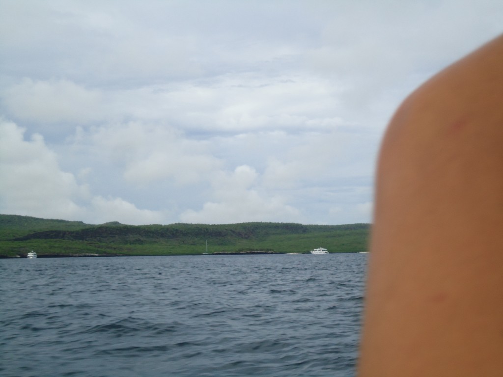 Foto: En el mar - Galápagos San Cristobal (Galápagos), Ecuador