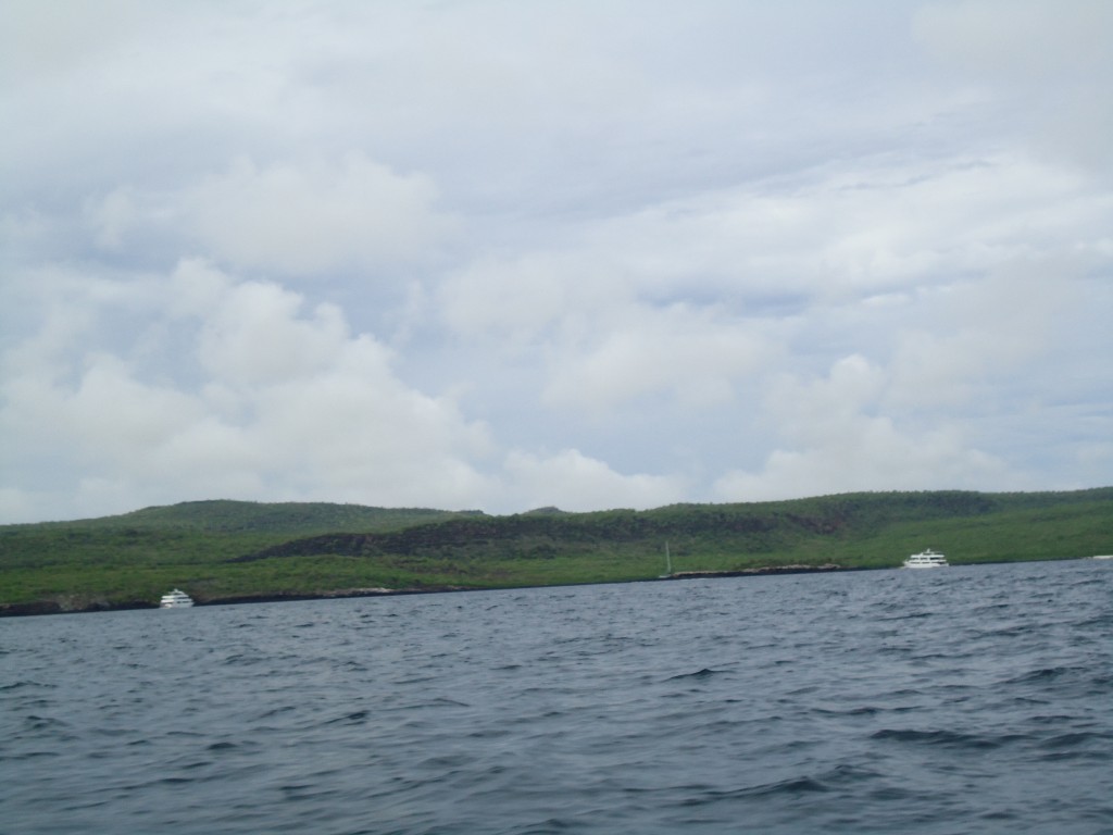 Foto: En el mar - Galápagos San Cristobal (Galápagos), Ecuador