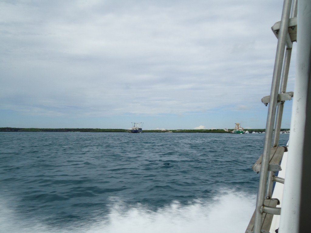 Foto: En el mar - Galápagos San Cristobal (Galápagos), Ecuador