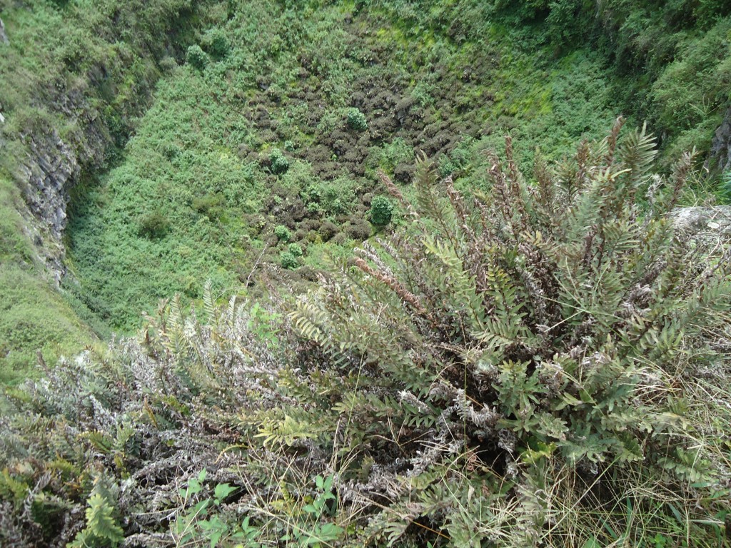Foto: Paisaje - Galápagos Santa Cruz (Galápagos), Ecuador